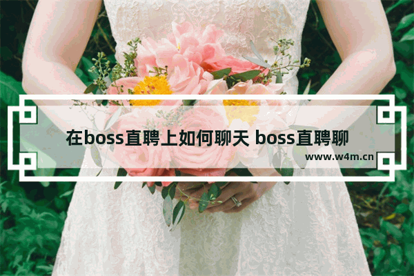 在boss直聘上如何聊天 boss直聘聊天的方法介绍