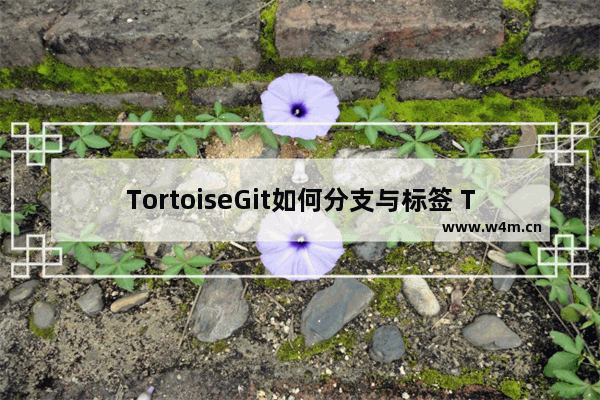 TortoiseGit如何分支与标签 TortoiseGit分支与标签流程分享