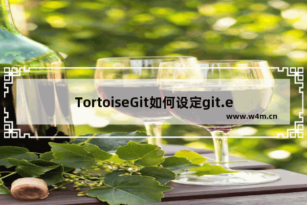 TortoiseGit如何设定git.exe路径 TortoiseGit设定git.exe路径方法说明