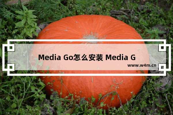 Media Go怎么安装 Media Go安装技巧说明