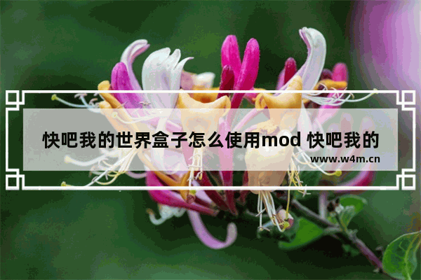 快吧我的世界盒子怎么使用mod 快吧我的世界盒子使用mod方法说明