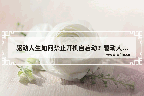 驱动人生如何禁止开机自启动？驱动人生禁止开机自启动操作方法盘点