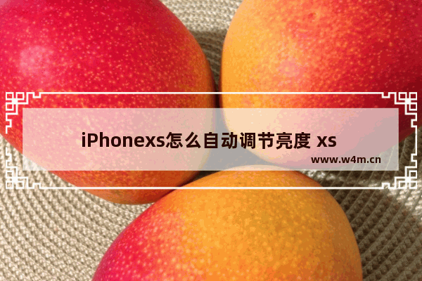 iPhonexs怎么自动调节亮度 xs max自动调节亮方法介绍