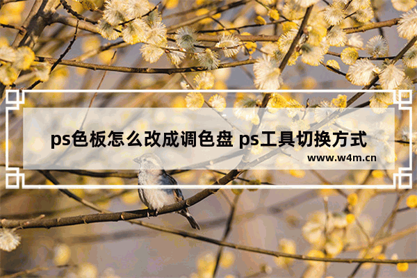 ps色板怎么改成调色盘 ps工具切换方式大全