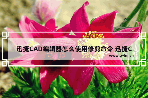 迅捷CAD编辑器怎么使用修剪命令 迅捷CAD编辑器使用修剪命令方法介绍