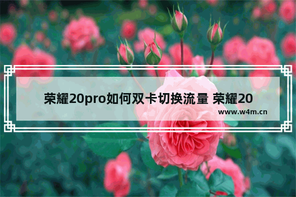 荣耀20pro如何双卡切换流量 荣耀20pro双卡切换流量步骤分享