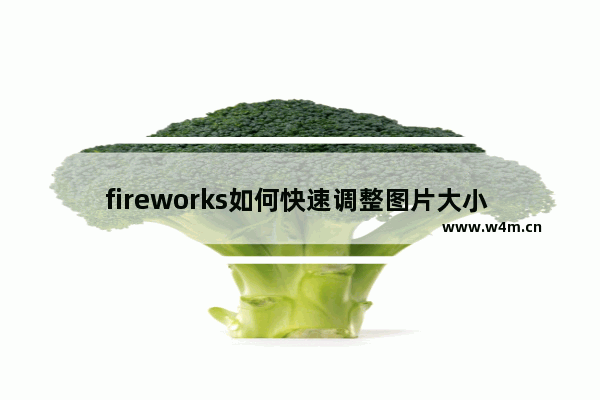 fireworks如何快速调整图片大小 快速调整图片大小方法介绍