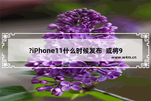 ?iPhone11什么时候发布  或将9月10发布