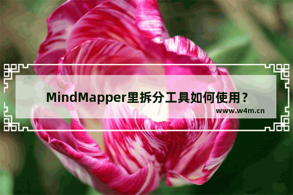 MindMapper里拆分工具如何使用？MindMapper里拆分工具的使用方法一览