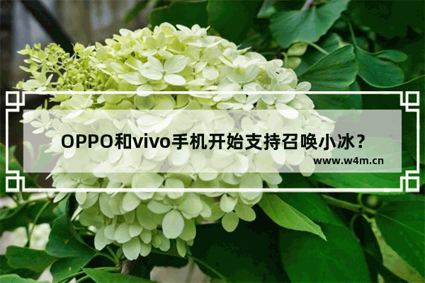 OPPO和vivo手机开始支持召唤小冰？全球已有4. 5亿台第三方智能设备启用小冰