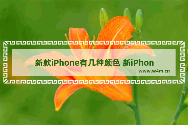 新款iPhone有几种颜色 新iPhone竟然有墨绿色！