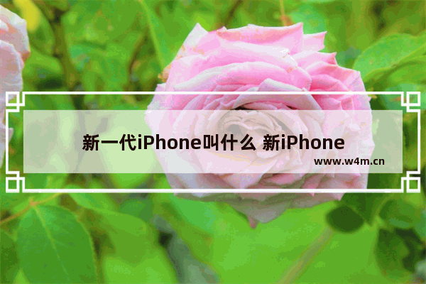 新一代iPhone叫什么 新iPhone共有4种配色