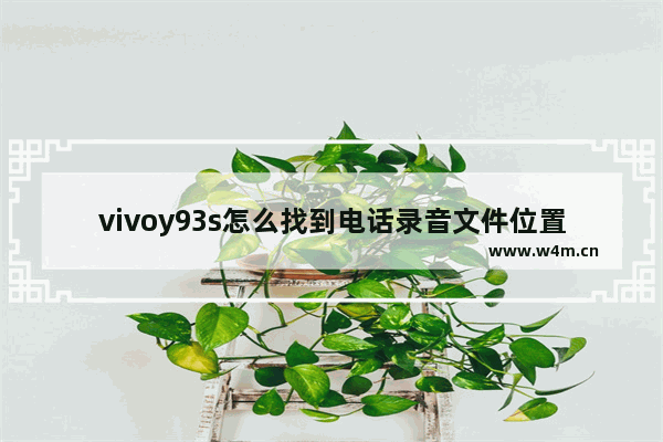 vivoy93s怎么找到电话录音文件位置 vivoy93s找到电话录音文件位置步骤分享