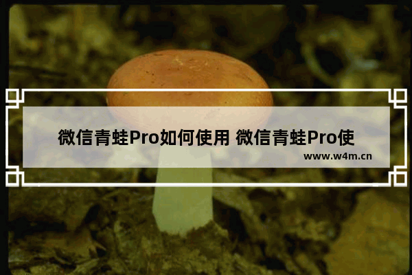 微信青蛙Pro如何使用 微信青蛙Pro使用方法介绍