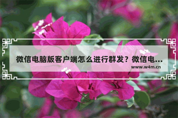 微信电脑版客户端怎么进行群发？微信电脑版客户端群发方法介绍