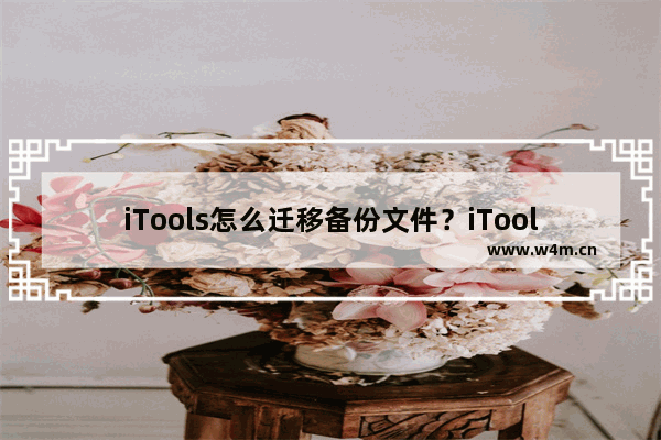 iTools怎么迁移备份文件？iTools迁移备份文件方法一览