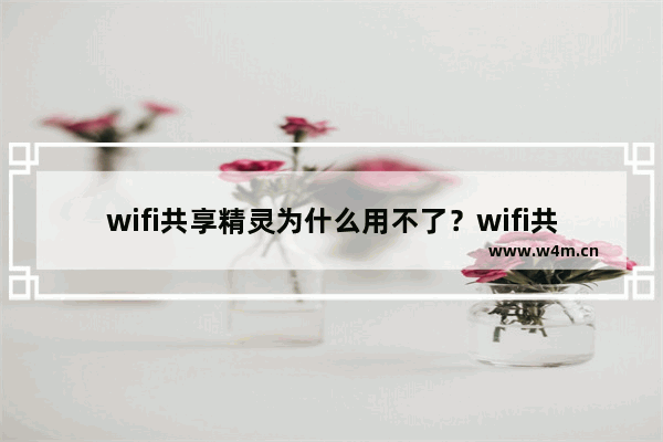 wifi共享精灵为什么用不了？wifi共享精灵用不了解决方法介绍