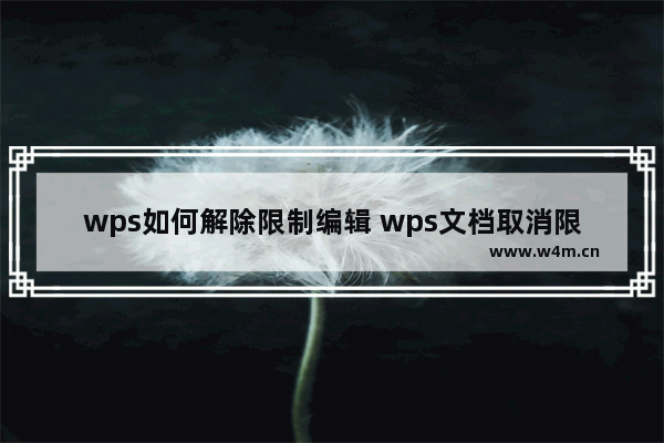 wps如何解除限制编辑 wps文档取消限制编制的方法分享