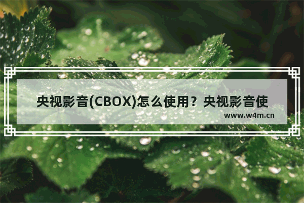 央视影音(CBOX)怎么使用？央视影音使用方法介绍