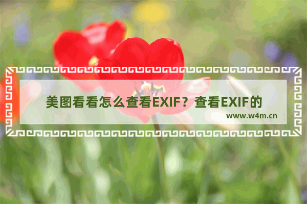 美图看看怎么查看EXIF？查看EXIF的操作内容介绍