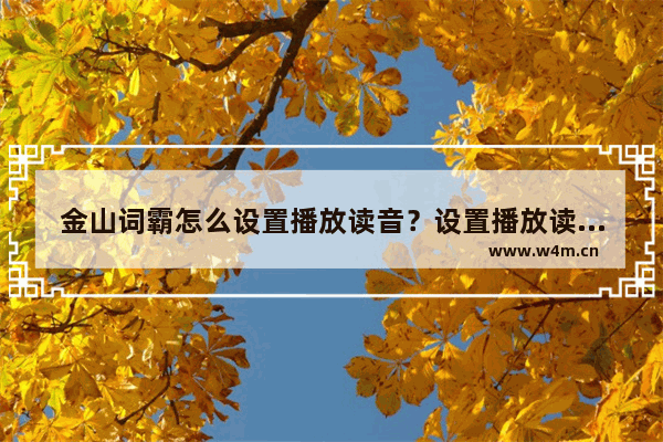 金山词霸怎么设置播放读音？设置播放读音方法详解