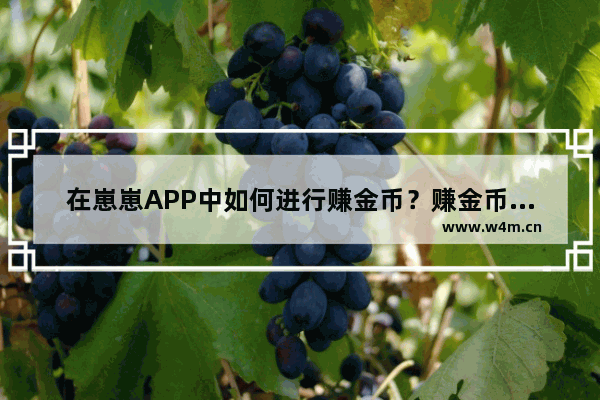 在崽崽APP中如何进行赚金币？赚金币的方法说明