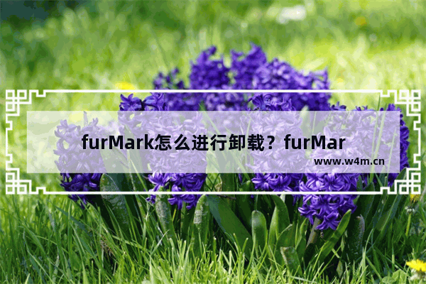 furMark怎么进行卸载？furMark卸载流程一览