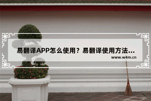 易翻译APP怎么使用？易翻译使用方法介绍