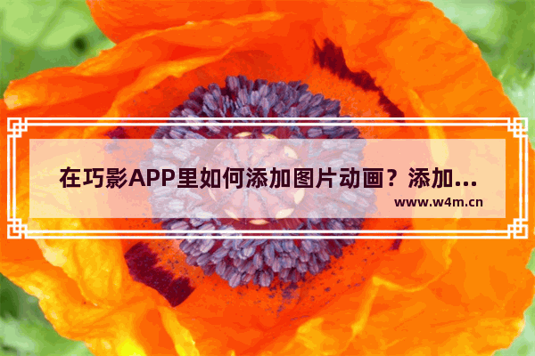 在巧影APP里如何添加图片动画？添加图片动画的步骤分享