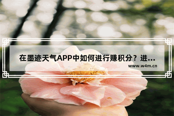 在墨迹天气APP中如何进行赚积分？进行赚积分技巧分享