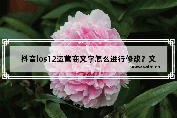 抖音ios12运营商文字怎么进行修改？文字进行修改的方法说明