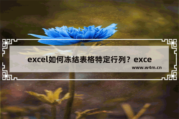 excel如何冻结表格特定行列？excel冻结特定行列方法详解