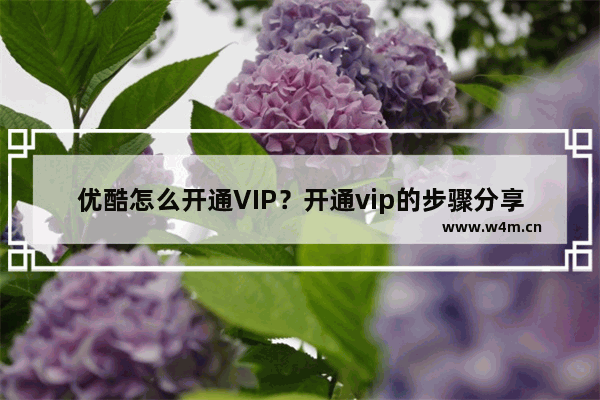 优酷怎么开通VIP？开通vip的步骤分享