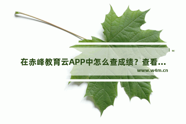 在赤峰教育云APP中怎么查成绩？查看成绩的具体步骤分享