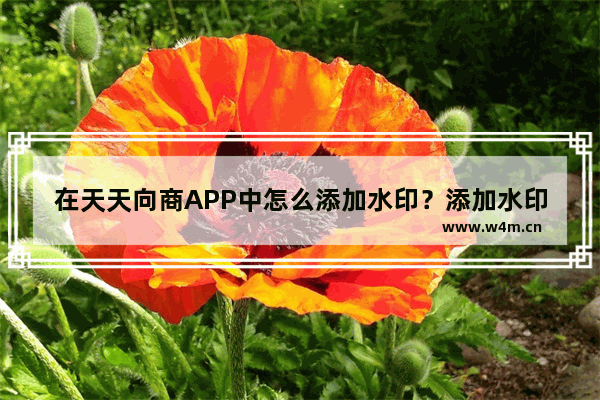 在天天向商APP中怎么添加水印？添加水印的方法介绍