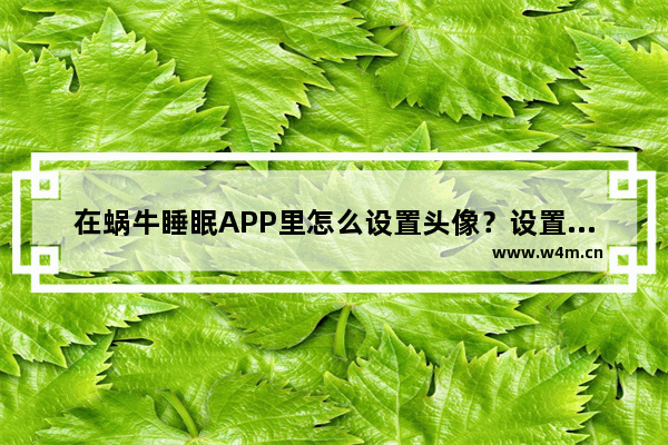 在蜗牛睡眠APP里怎么设置头像？设置头像的方法分享