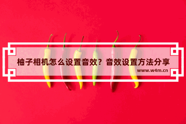 柚子相机怎么设置音效？音效设置方法分享