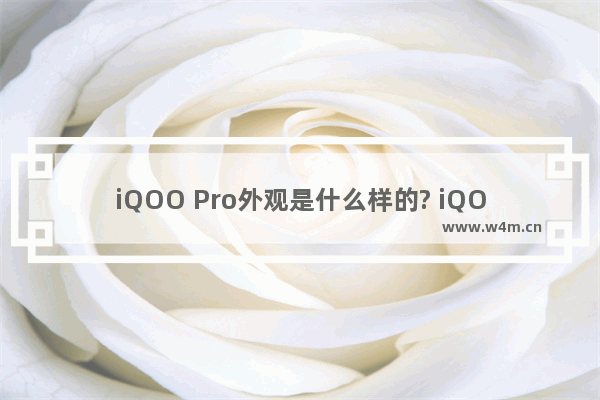 iQOO Pro外观是什么样的? iQOO Pro性能介绍