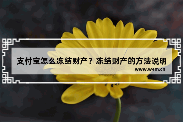 支付宝怎么冻结财产？冻结财产的方法说明