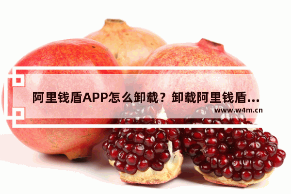 阿里钱盾APP怎么卸载？卸载阿里钱盾的操作步骤分享