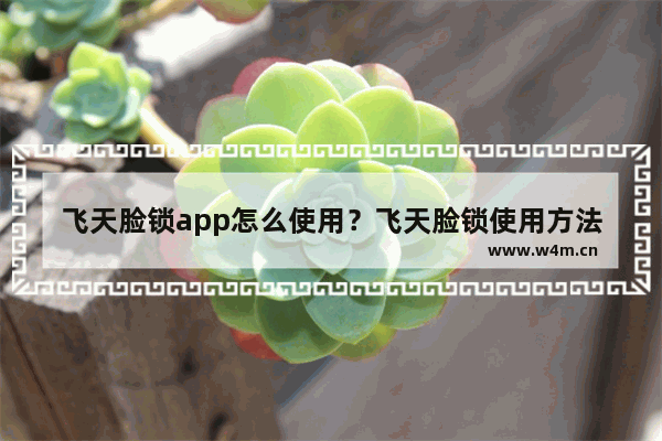 飞天脸锁app怎么使用？飞天脸锁使用方法说明