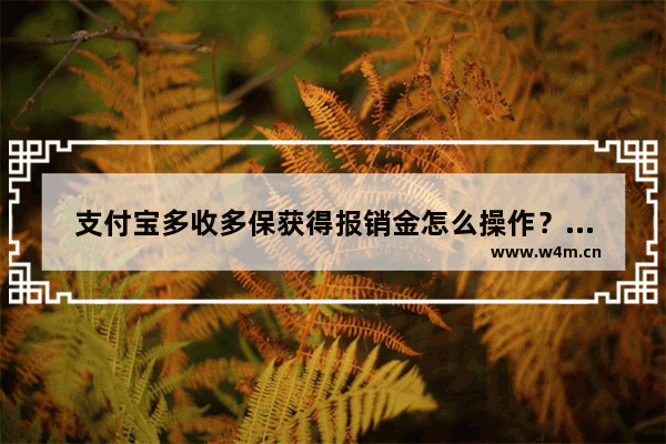 支付宝多收多保获得报销金怎么操作？多收多保获得报销金操作步骤分享