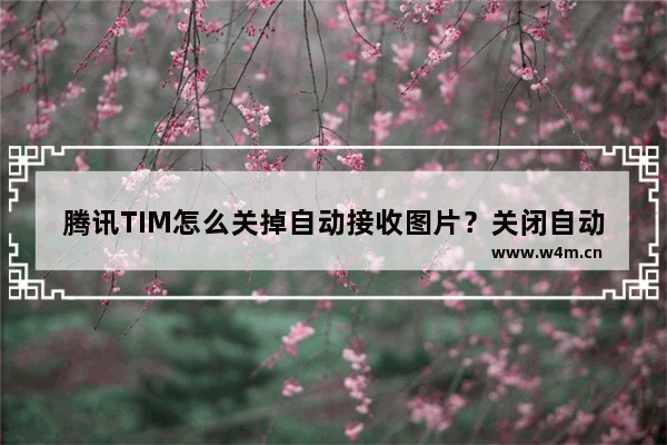 腾讯TIM怎么关掉自动接收图片？关闭自动接收图片的方法说明