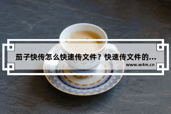 茄子快传怎么快速传文件？快速传文件的方法分享