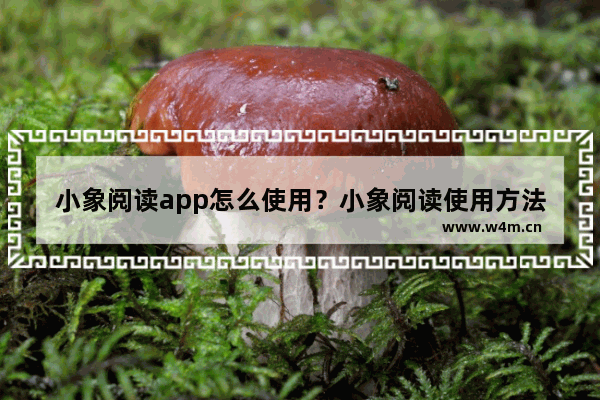 小象阅读app怎么使用？小象阅读使用方法说明