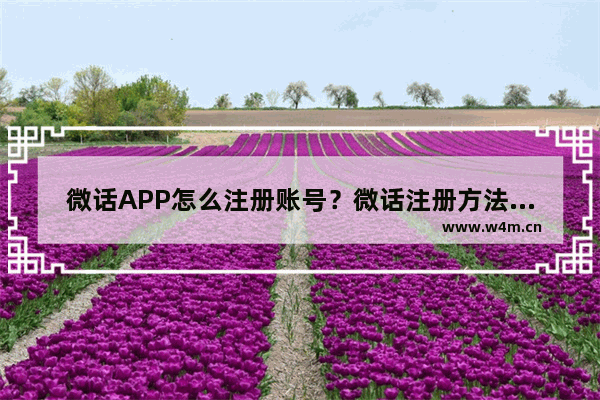 微话APP怎么注册账号？微话注册方法介绍