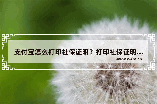 支付宝怎么打印社保证明？打印社保证明的方法介绍