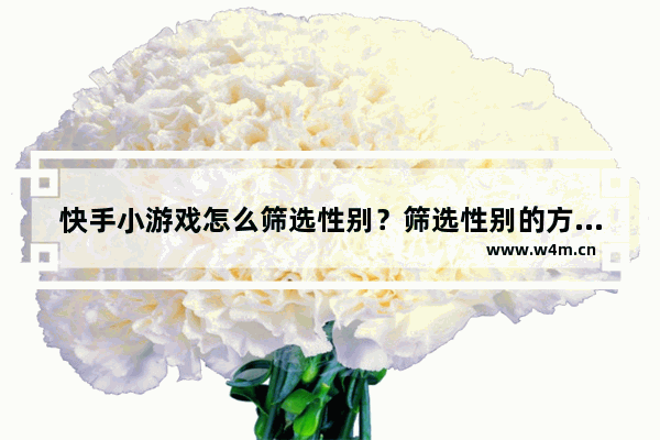 快手小游戏怎么筛选性别？筛选性别的方法说明