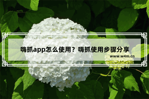 嗨抓app怎么使用？嗨抓使用步骤分享