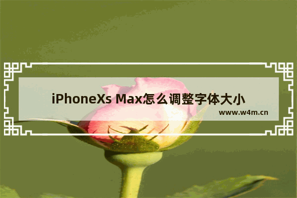 iPhoneXs Max怎么调整字体大小？调整字体大小的方法说明